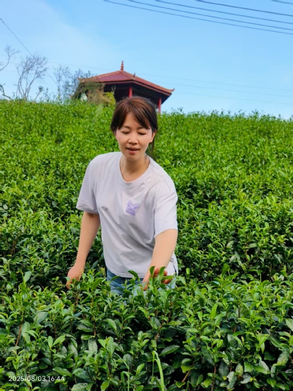 Q绮芳的第一张照片--明溪婚介网